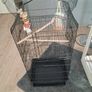 bird cage Image 3