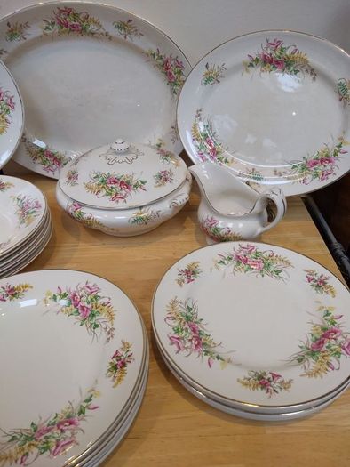 Beautiful 1950s Almost Complete Dinner Service by Arklow Pottery in Pattern Number 2508