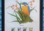 1980 Great Britain Limited Edition Lithographed Framed Print measuring 333mm X 257mm showing British Birds Commemorative Stamp with First Day of Issue Cancel