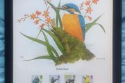 1980 Great Britain Limited Edition Lithographed Framed Print measuring 333mm X 257mm showing British Birds Commemorative Stamp with First Day of Issue Cancel