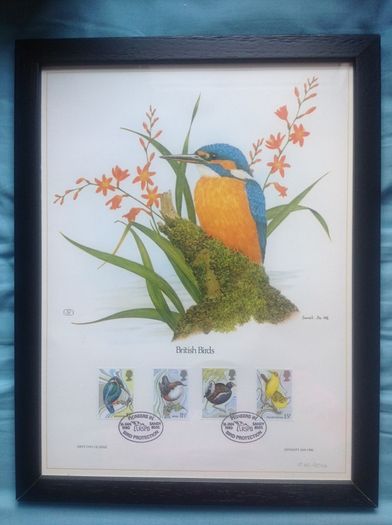 1980 Great Britain Limited Edition Lithographed Framed Print measuring 333mm X 257mm showing British Birds Commemorative Stamp with First Day of Issue Cancel