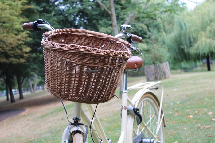 Popal Ladies Dutch Bike 28 Inch 3 Speed Basil Wicker Basket