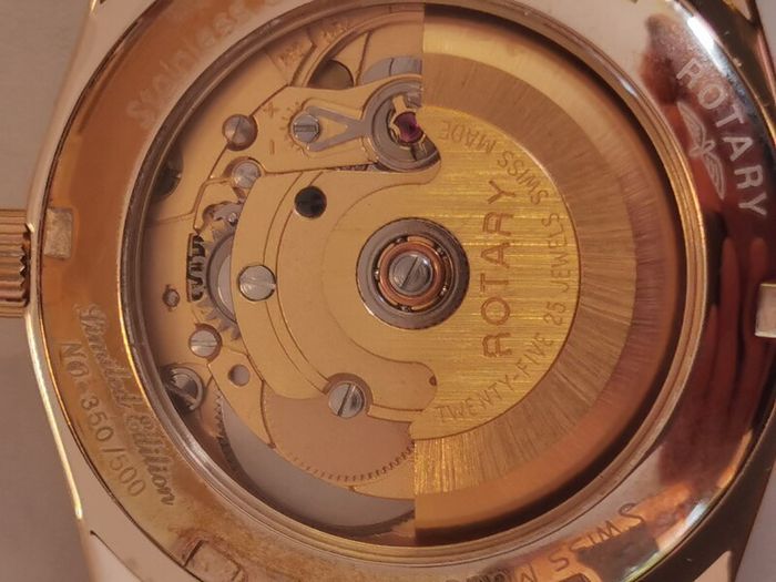 rotary watch