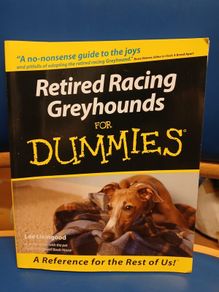 Retired Racing Greyhounds for Dummies