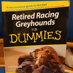Retired Racing Greyhounds for Dummies