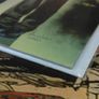 M. Rex ! 2 Issues ! Complete ! Including Rare Jay Anacleto Variant Cover ! 1999 ! by Image Comics ! Image 9
