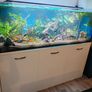 Fish tank and stand Image 7