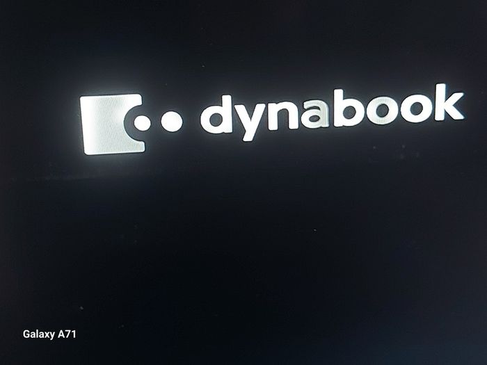 Dynabook Sattelite Pro, Intel Core i3-1005G1 CPU, 1.2GHz, 8GB Ram, 128GB SSD, Windows 10 Pro, Microsoft Edge, Chrome