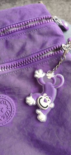 Tegaote Purple Crossbody Bag (Unused)