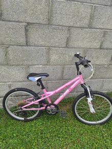 20 inch girls bike