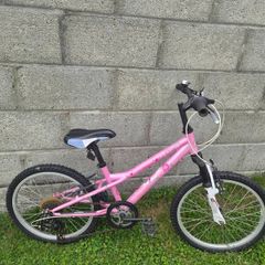 20 inch girls bike