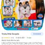 little live pets Image 7