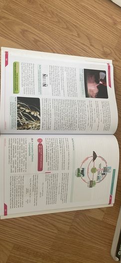 Chemistry Live!  Textbook, workbook and laboratory notebook