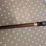 Walking stick Image 8