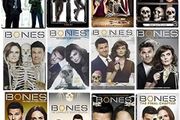 Bones Seasons 1-12 Dvd As New / Mint Condition
