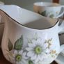 Vintage pretty Duchess Felicity 454 bone china Image 4