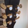 Freya Lp-2C Les Paul Style Electric Guitar Image 7