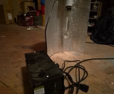 Black Orchid 600W HPS Grow Light Kit