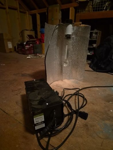 Black Orchid 600W HPS Grow Light Kit