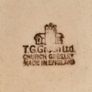 TG Green Ceramic Canister Set Image 8