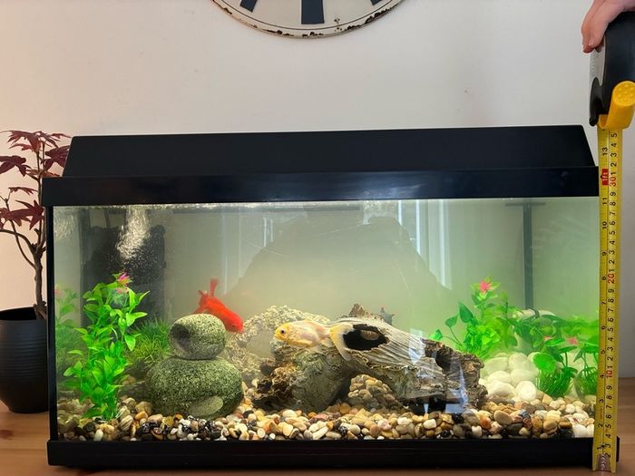 Fish tank 54ltr
