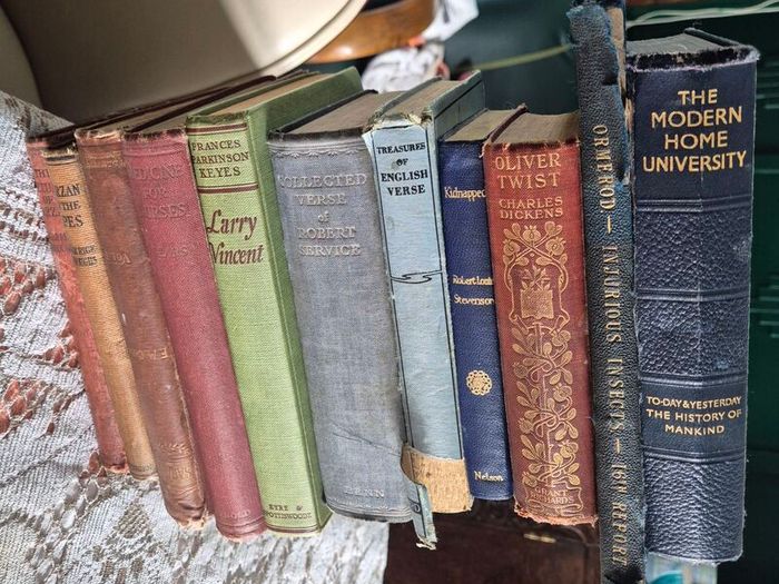11 Vintage old books