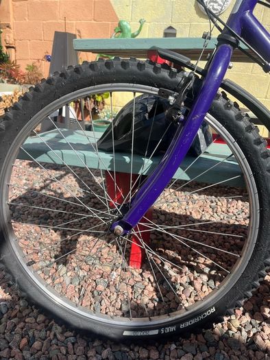 bike size 24