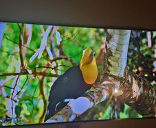 Lg 65 4k Uhd Smart Tv