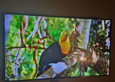 Lg 65 4k Uhd Smart Tv
