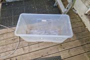 large plastics container