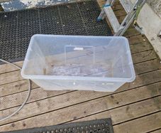 large plastics container