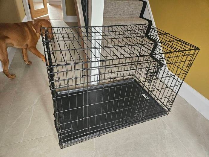 dog crate