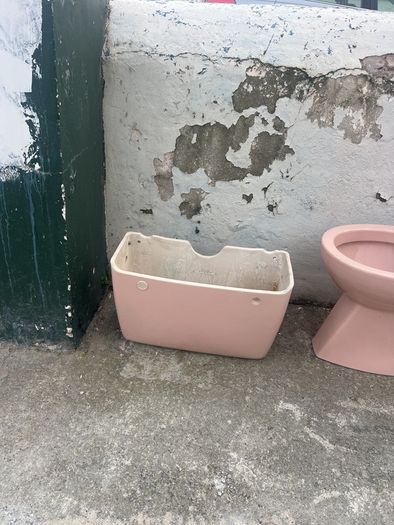 pink toilet retro vintage