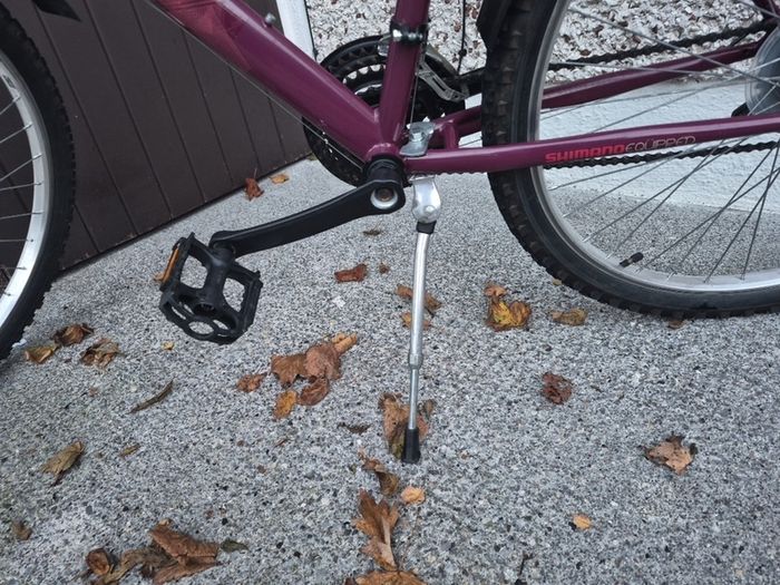 Apollo Twilight ladies bike with basket