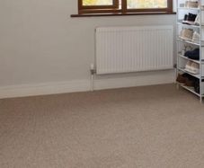 Free Carpet