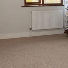 Free Carpet