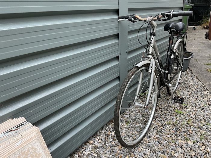 Ladies Bike