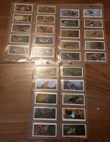 Full set of bird cigarette card's,  1976 black cat