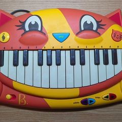 Cat Piano with Mike