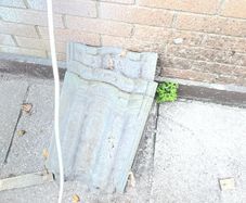 roof slates