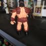 Wwf Image 2