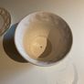 Flower pot & saucer Image 6