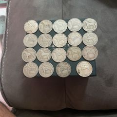 19 Irish  silver coin