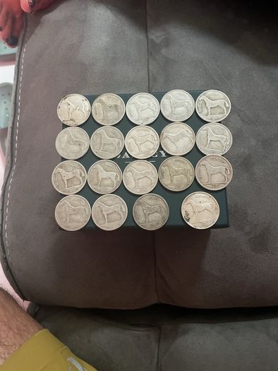 19 Irish  silver coin