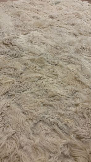 Genuine sheep skin rug