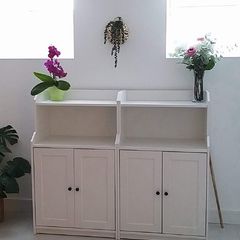 HAUGA cabinet Ikea