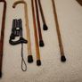 Walking sticks Image 7