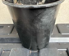 Tall black plastic flower pot