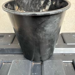 Tall black plastic flower pot