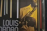 Louis Jordan - Jumpin' and Jivin'.  2 CD.